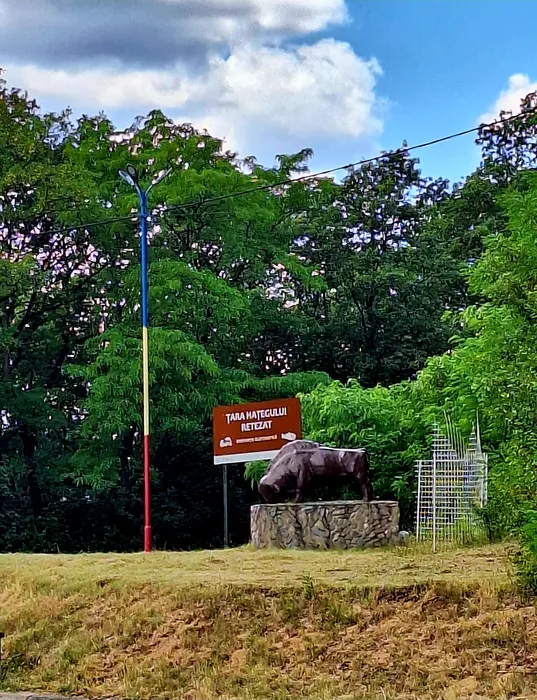 Popas Zimbrul